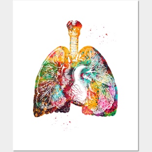 Lungs and Heart Posters and Art